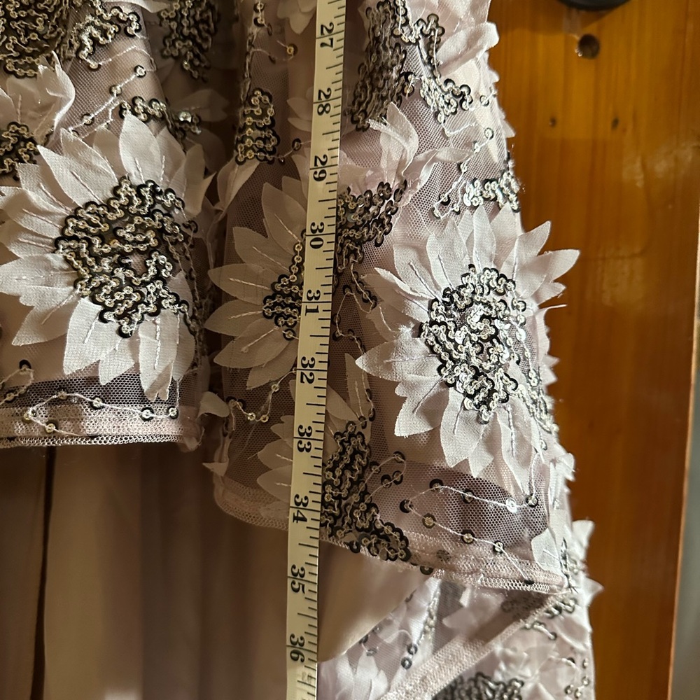 Gorgeous Aidan Maddox gown. Size 0. BNWT - Picture 7 of 9